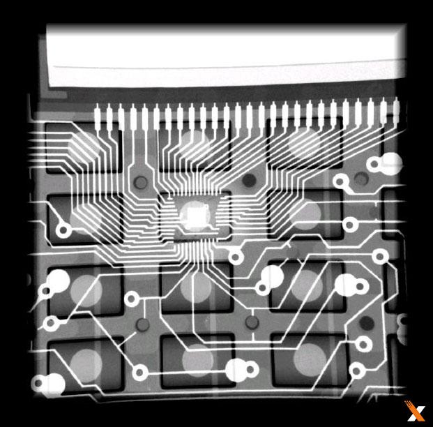 美國Faxitron生物學X射線小動物活體成像系統