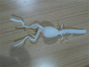 心血管手術模型
