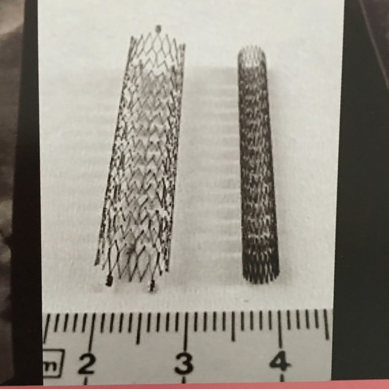 顯影膠帶百麗兒標記尺