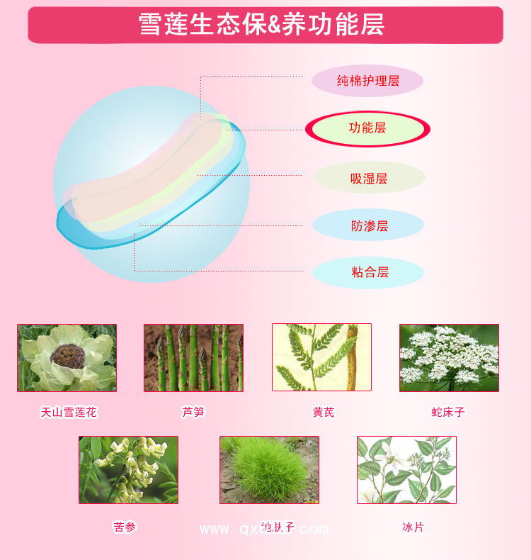 排毒養元貼定制，雪蓮貼OEM貼牌，貼膏生產廠家