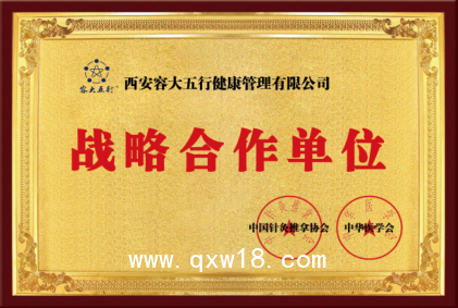 容大五行中醫綜合治療儀