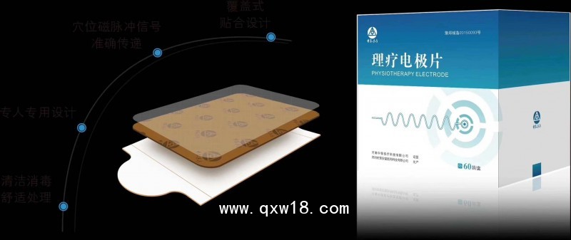 腦循環功能障礙治療儀