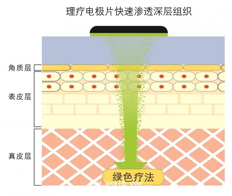 透化治療系統
