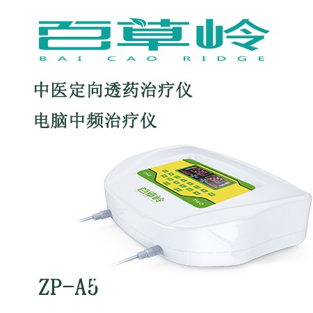 中藥離子導入治療儀-中頻康復理療儀