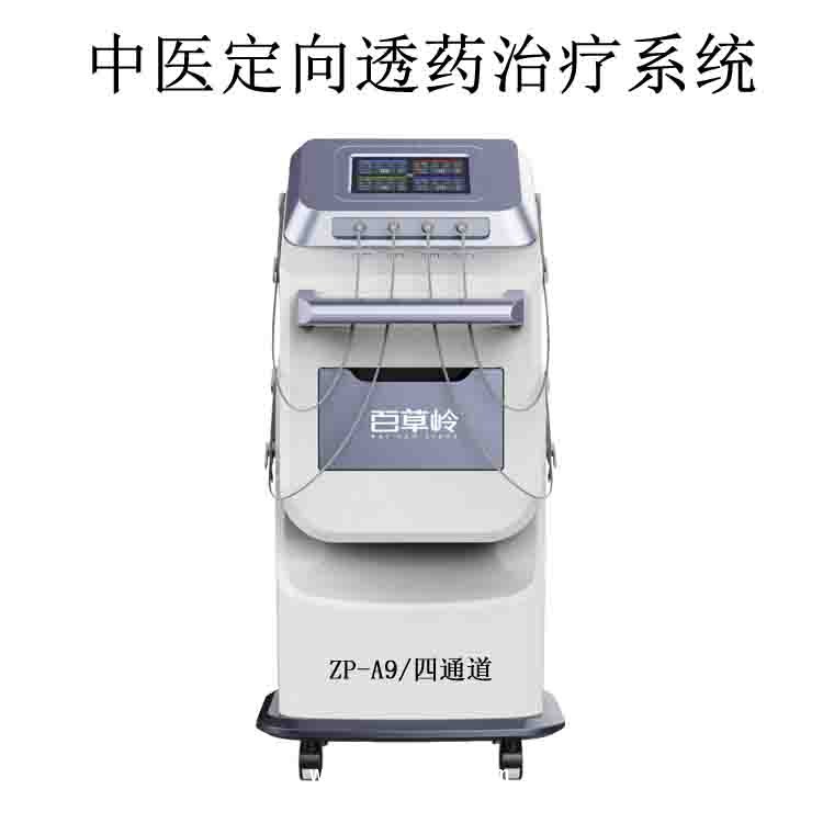 電腦中頻電療儀-中醫定向透藥儀