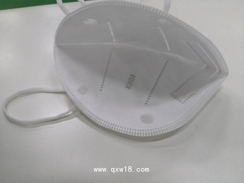 黑果花楸內置5層kn95口罩