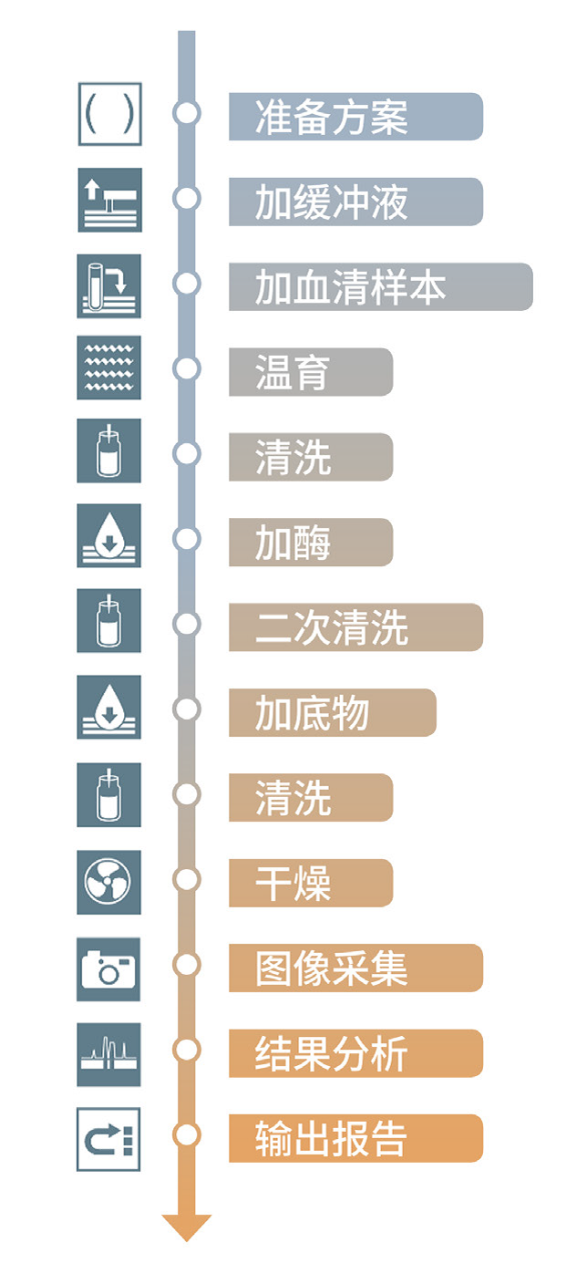 全自動免疫印跡檢測系統EUROLineMaster Plus