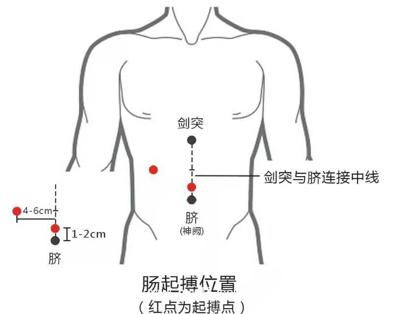 胃腸動力治療儀雙通道YZ-ZP-D