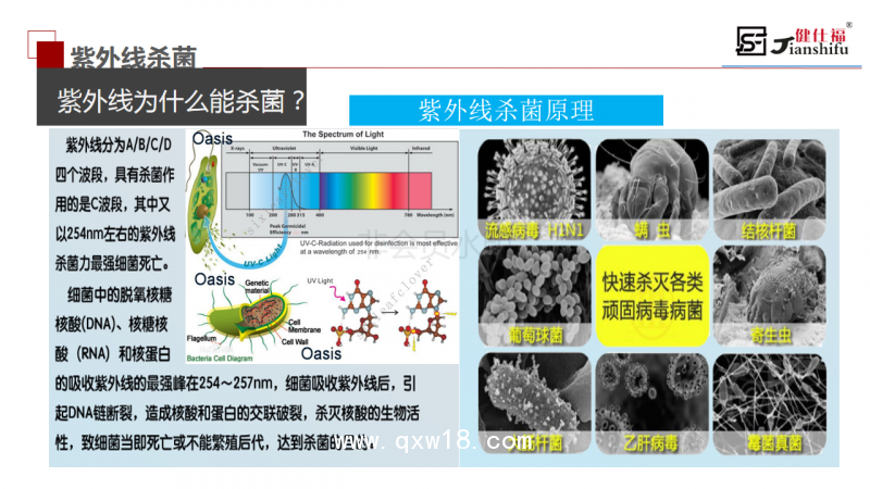 江陰健仕福公司產品宣傳展示PPT_18