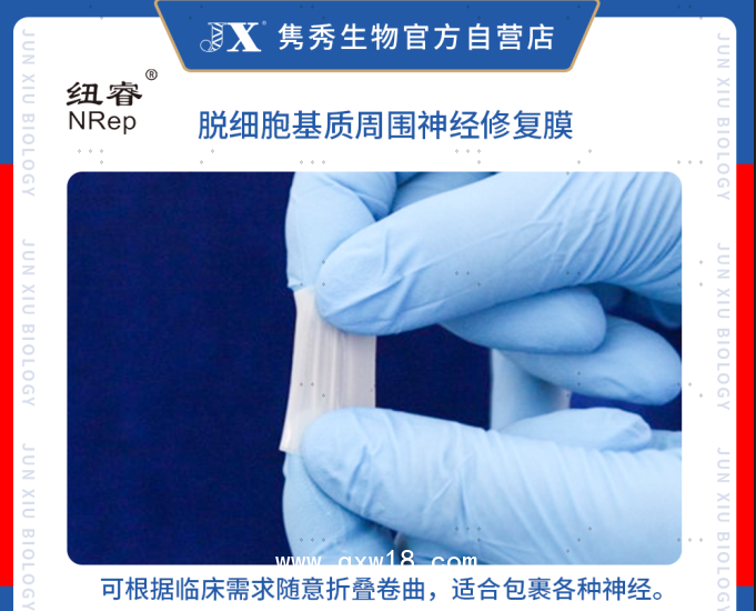 脫細胞基質周圍神經修復膜（紐睿）