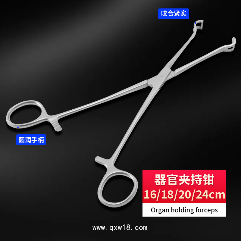 德國不銹鋼制成器官夾持鉗 基礎外科夾持鉗 無損傷夾持鉗醫用鉗