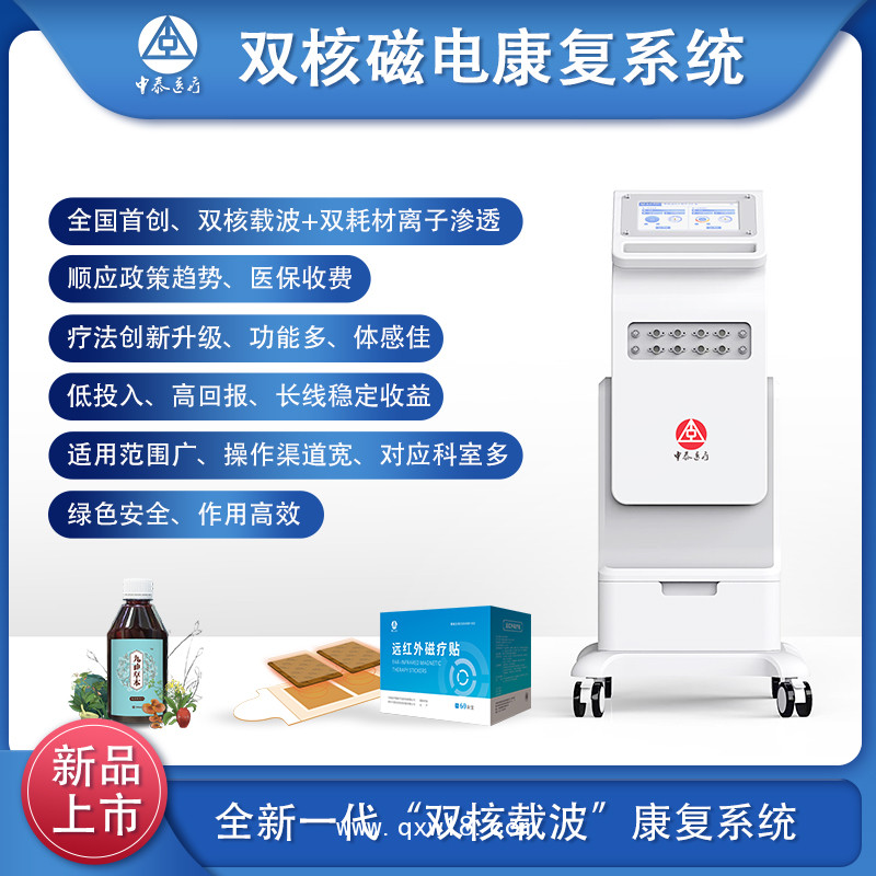 雙核磁電康復系統