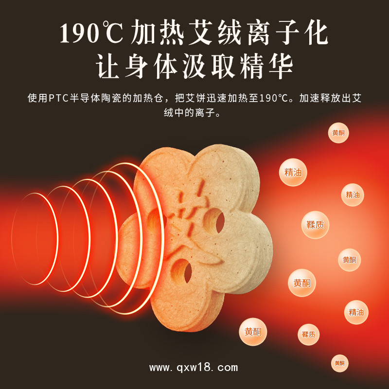 電子無煙艾灸儀 醫院招標艾灸治療儀電 LY-AJ07b
