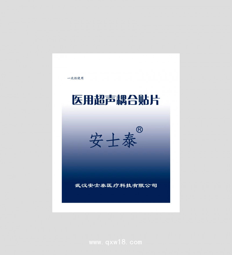 多功能超聲透藥儀