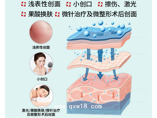 海藻糖醫用皮膚修護敷料(敷貼型)-OEM貼牌代工-批發代理