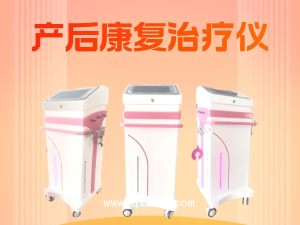 婦科綜合理療儀 產(chǎn)后康復治療儀