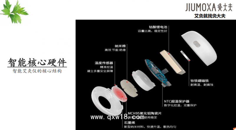 隔物灸儀