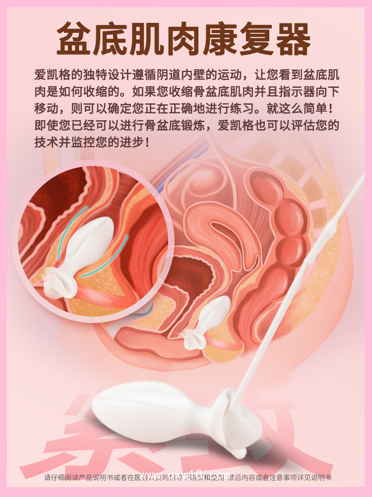 盆底肌肉康復器