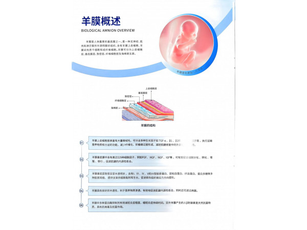 生物羊膜