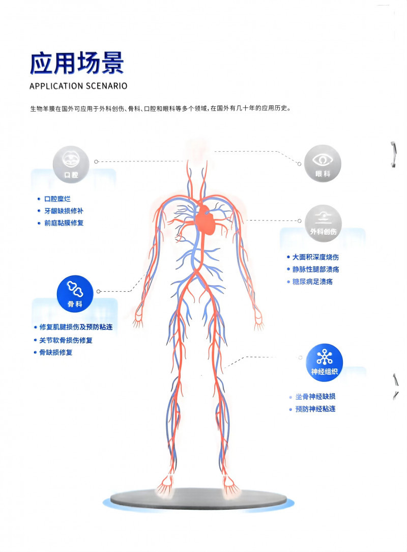 生物羊膜