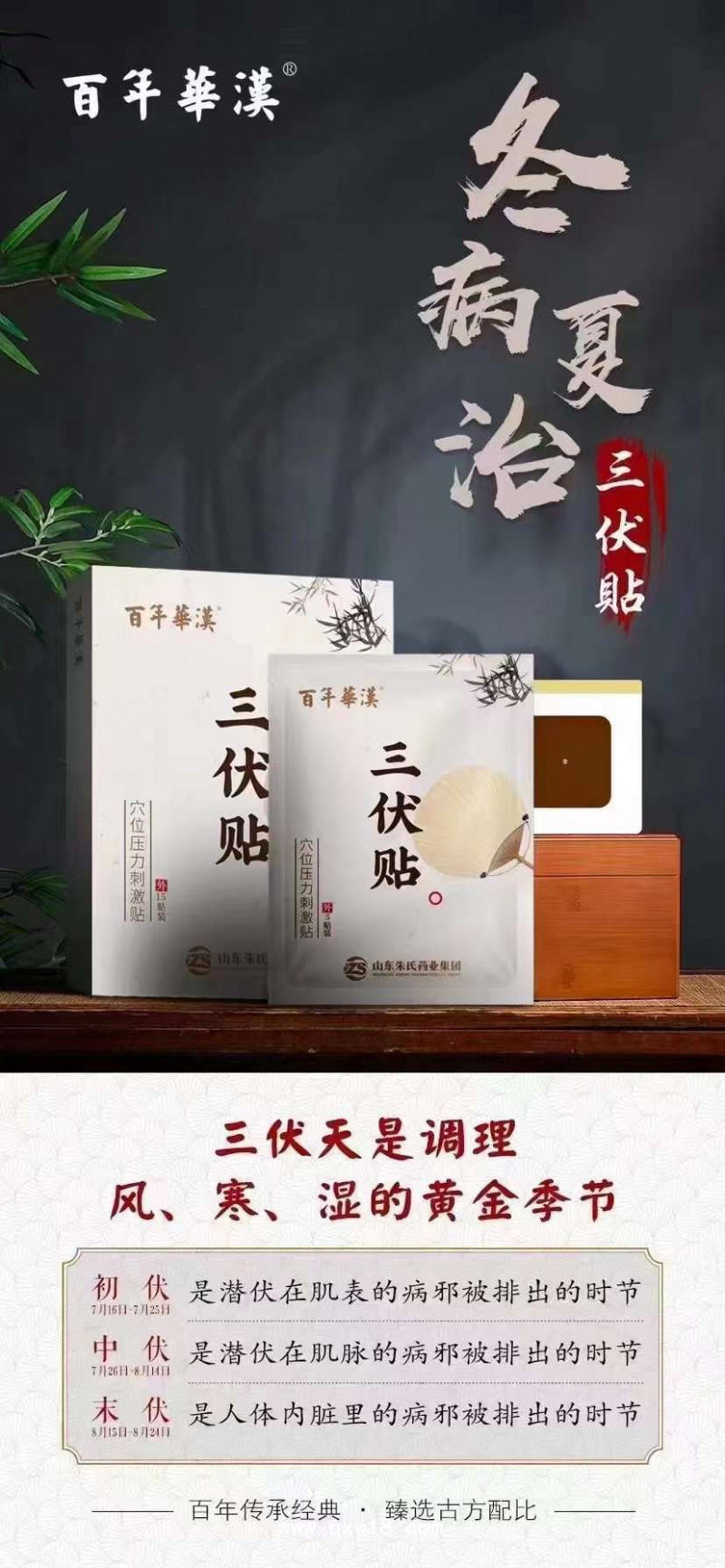 三伏貼生產廠家 承接定制 oem品牌代加工 可來廠參觀考察