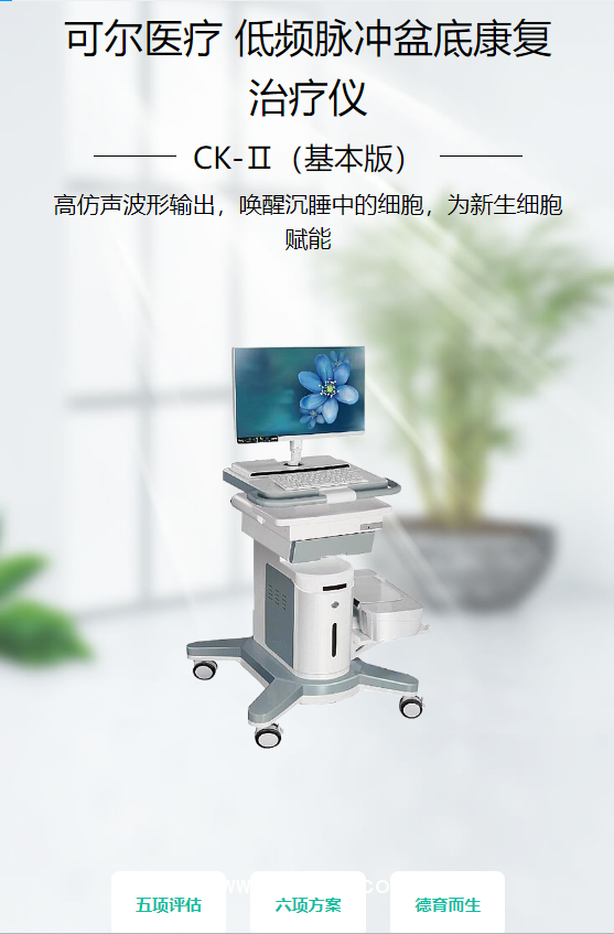 可爾醫療 低頻脈沖盆底康復治療儀 CK-Ⅱ（基本版）