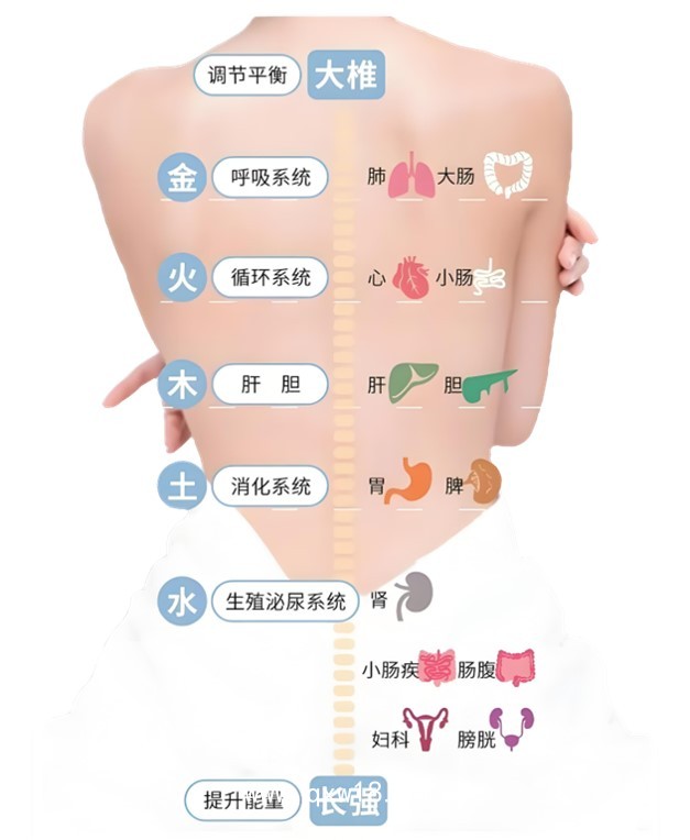 智能AI動力溫控經皮治療系統