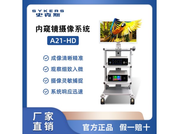 SYKERS 史克斯內窺鏡 喉鏡攝像系統 耳鼻喉治療臺