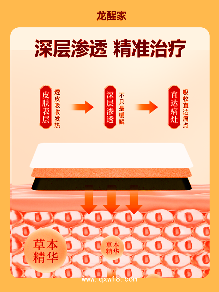 五行養生貼