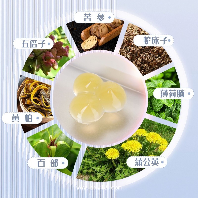 婦科凝膠貼牌代加工oem女性私密苦參抑菌凝膠私處護理清潔批發