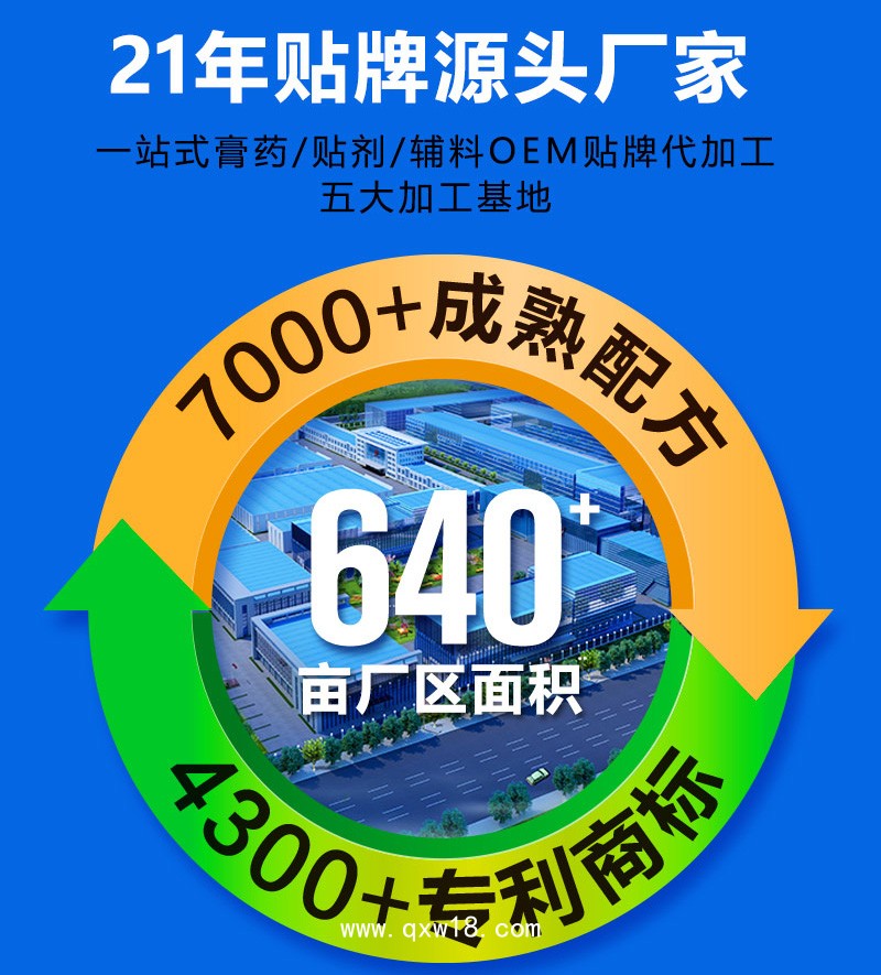 穴位壓力刺激貼OEM代加工/成人兒童均可生產 可定制多種產品分型/械字號