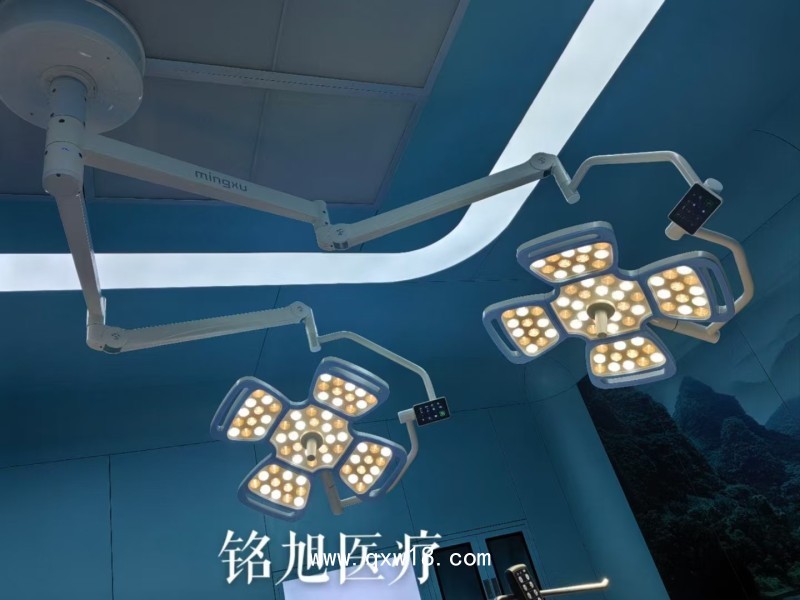 醫療工廠手術燈LED無影燈醫院雙臂手術燈移動檢查燈