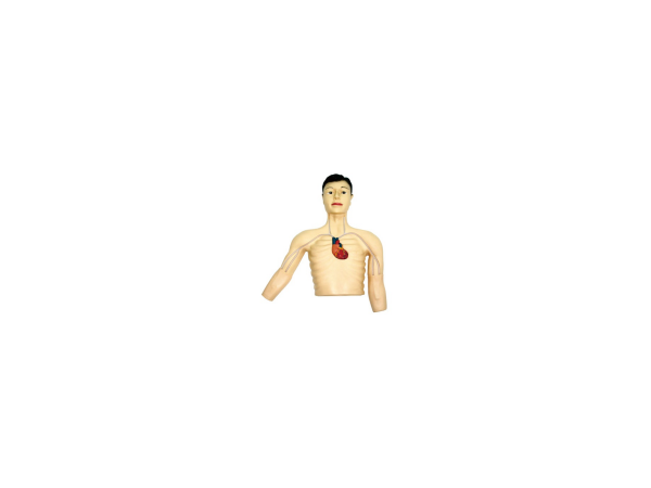 PICC介入訓練模型