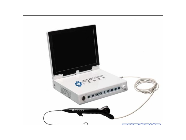 一次性使用電子輸尿管內窺鏡導管