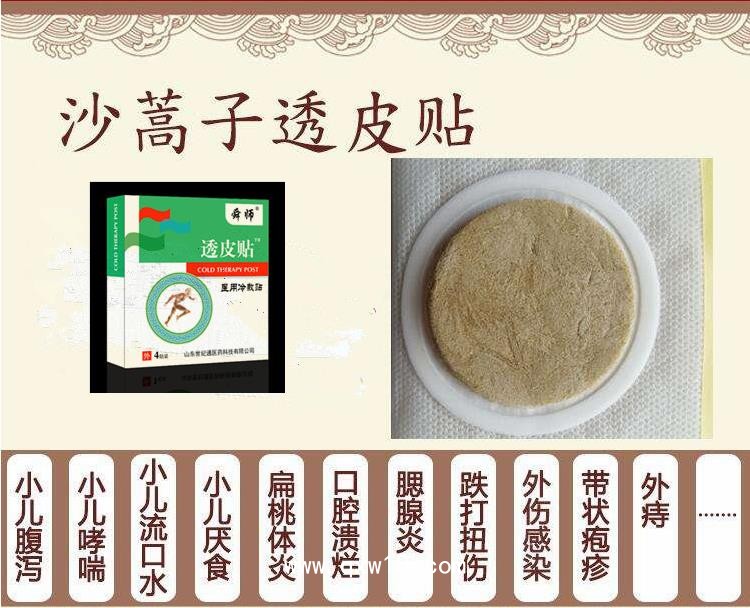 沙蒿子透皮貼|中醫(yī)綠色透皮技術|穴位壓力刺激貼膏藥加工廠家