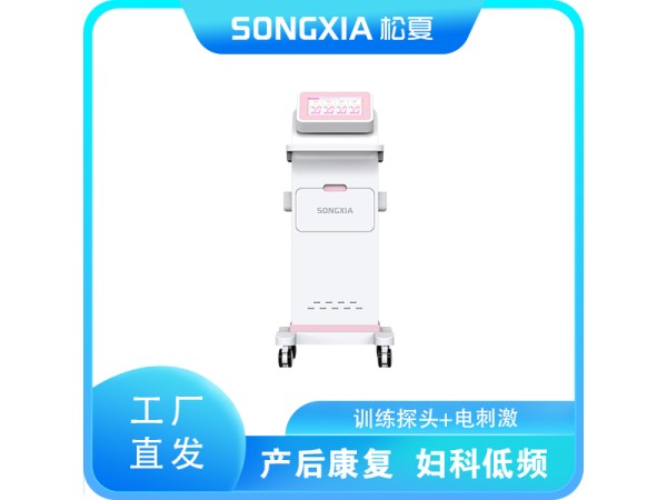 產后康復儀/婦科低頻脈沖治療儀/盆底康復治療儀/低頻脈沖