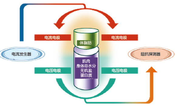 圖片關鍵詞