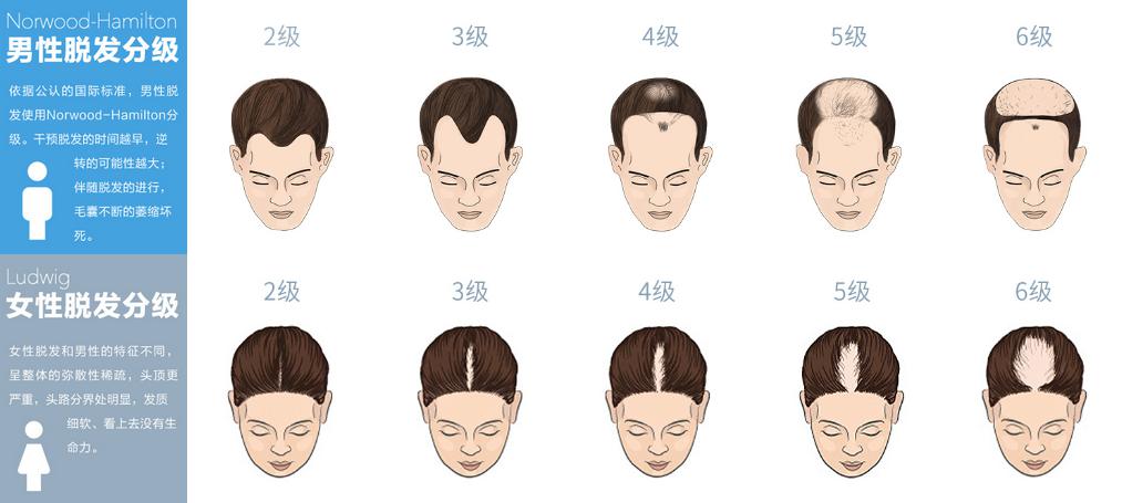 1487215201187231.jpg 圖片3.jpg
