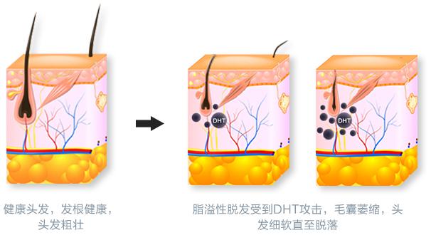 1487215249428275.jpg 圖片4.jpg