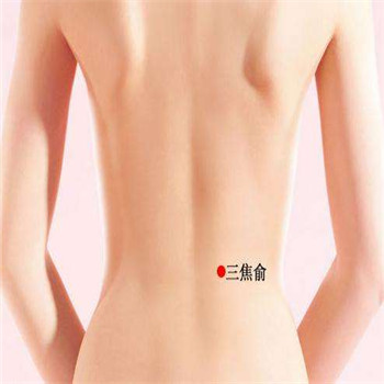 美背.jpg
