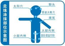 涂抹部位示意圖
