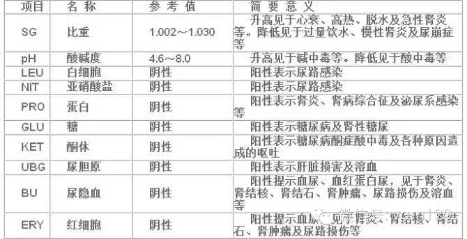 尿液分析儀