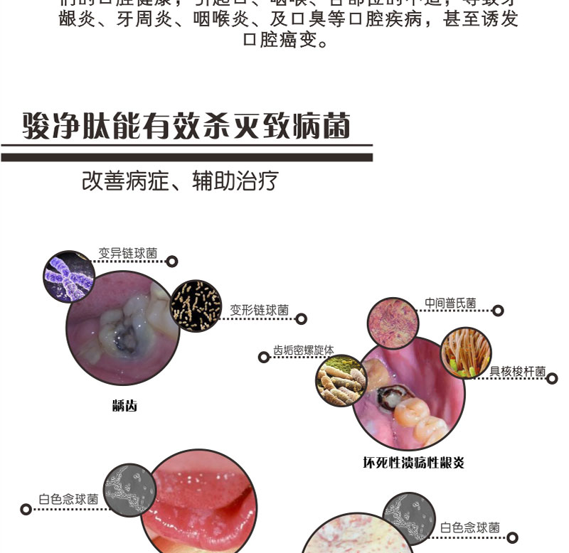 駿凈肽10ml_04.jpg