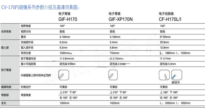 圖片11