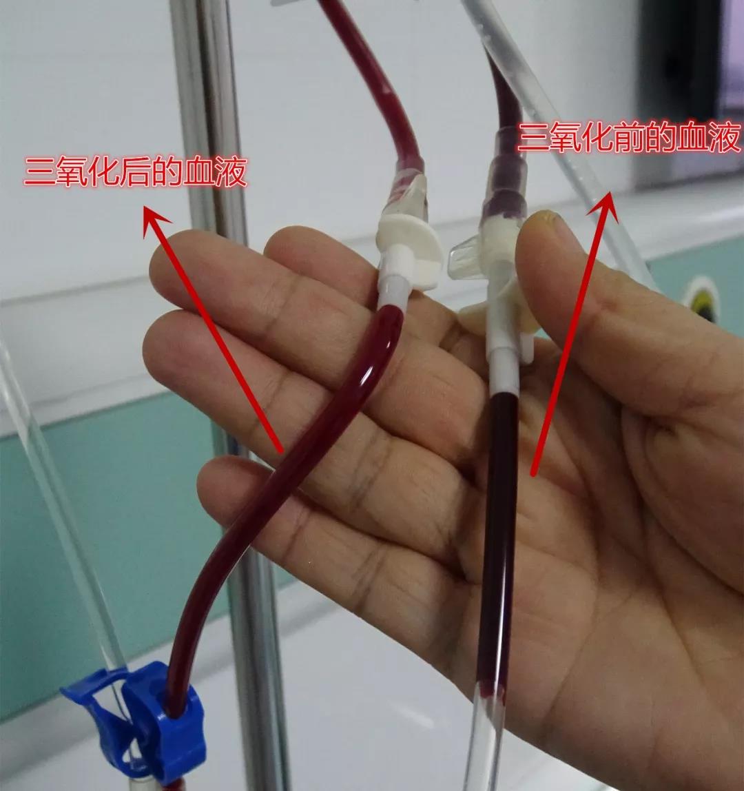 微信圖片_20201205130853.jpg