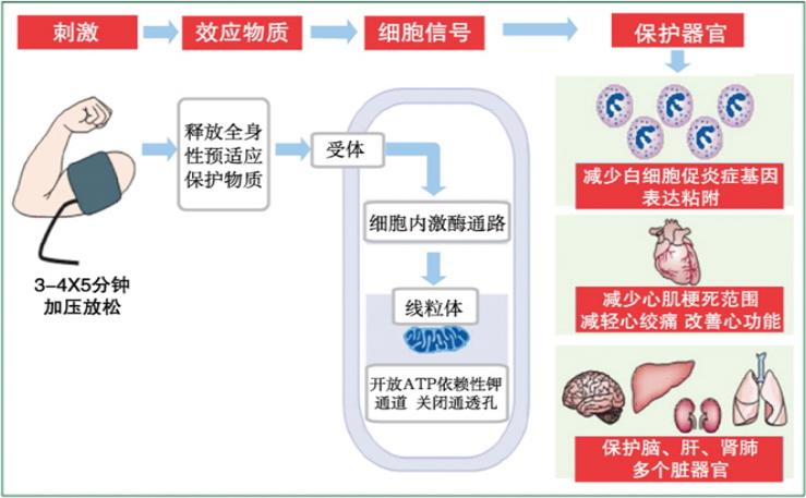 微信圖片_20210319144150.jpg