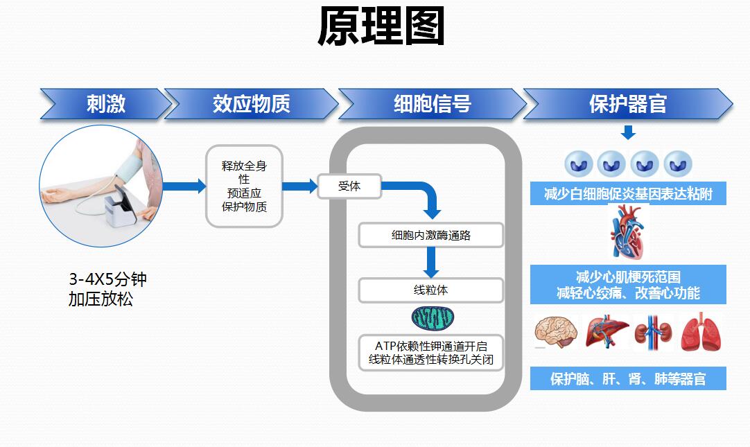 微信圖片_202103191441501.jpg