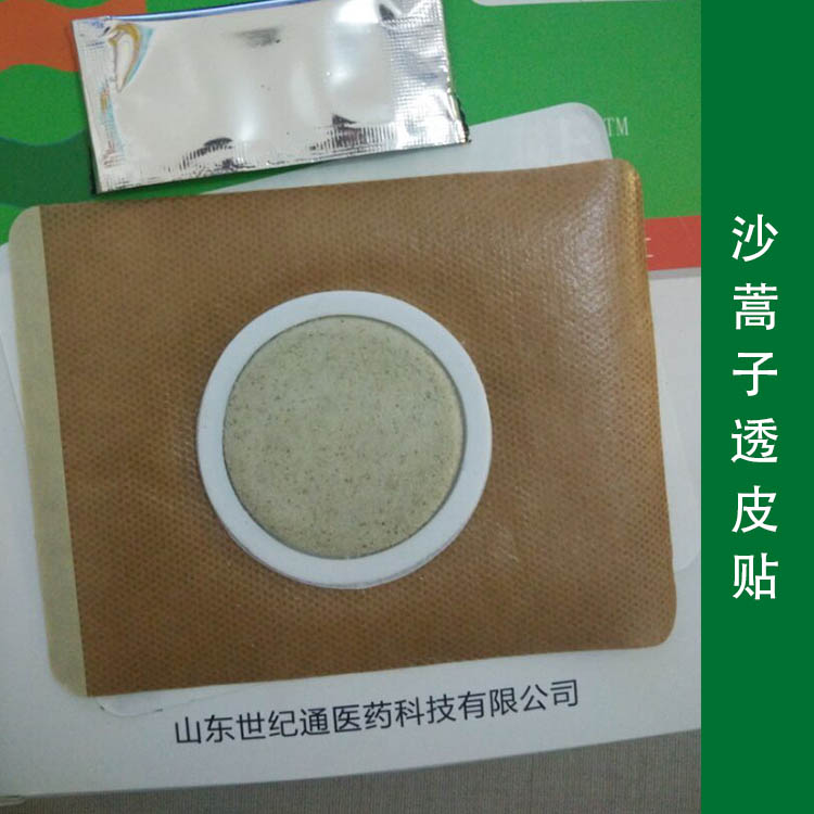 2沙蒿子750.jpg