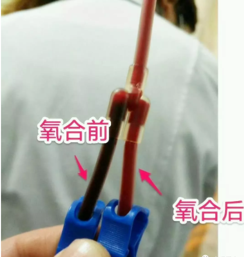 7ed27cf807cc473e2ec7f434bf380d4.png