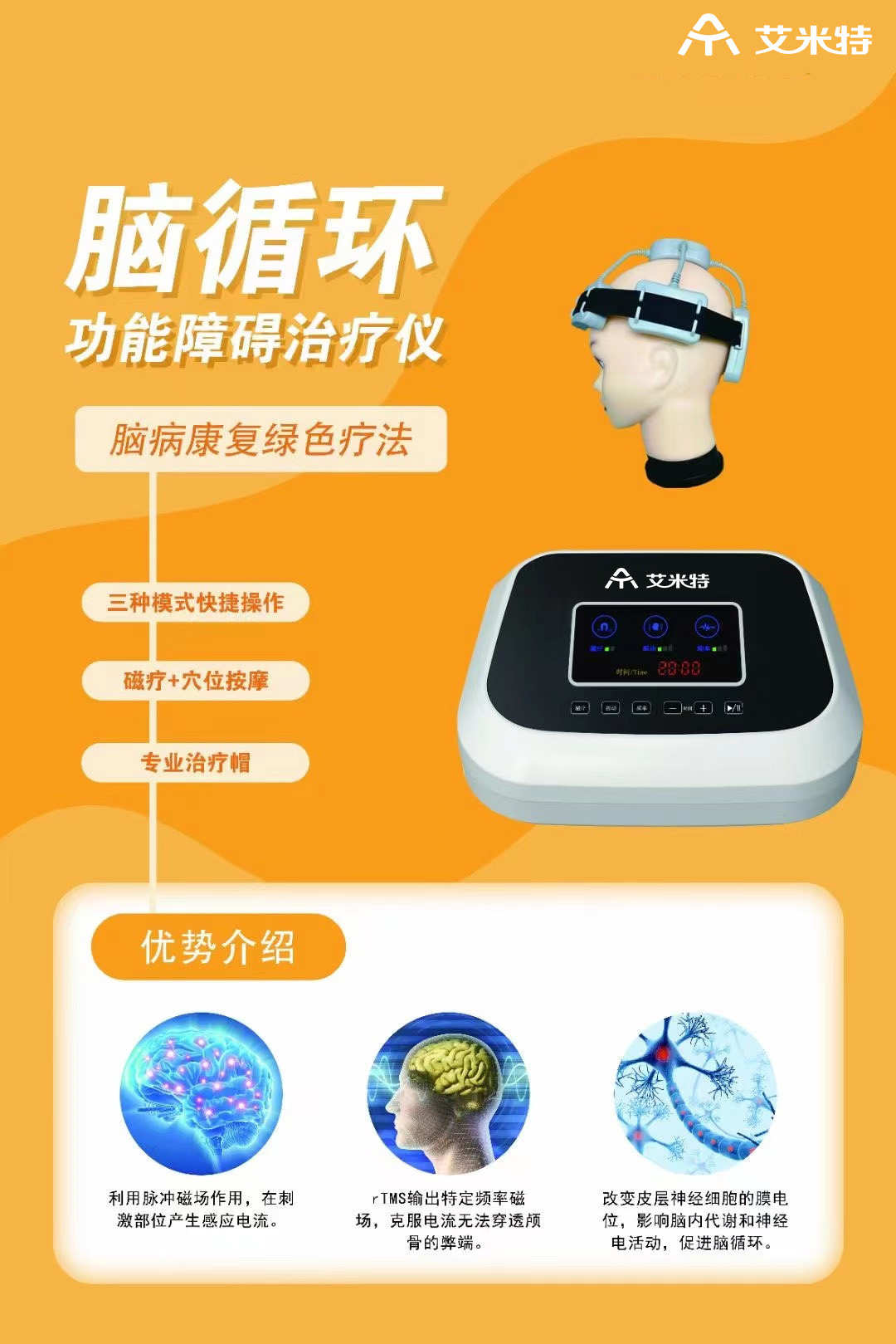 腦循環小.jpg